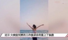 刘雯娱乐爆料视频,揭秘明星幕后故事